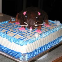 Rat On A Bingo Card Birthday Cake This is the strangest request yet I have gotten ofr a cake order! A Rat on a bingo card....one of those inside jokes! LOL
