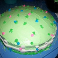 First Cake Ever- Easter 2008 This is the first cake that I have ever tried. I'm very proud of it. Worked on it for 2.5 hours. I know there is a few things that I...