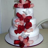Fresh Roses Wedding Cake - Pinks And Reds Fondant covered with fresh roses.