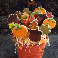 Happy Fall! The leaves are changing and so are the temperatures! Welcome to fall!