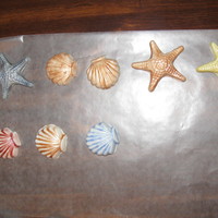 Sea Shells White Chocolate Fondant " Sea Shells " painted with luster dust . Making these for sons Sand Castle Wedding Cake . Will post...