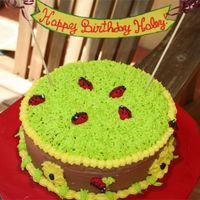 Haley.jpg all BC. this was a last minute cake I had to make 3 hours before a birthday party!