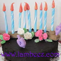 Hannukah Cake milk chocolate cake with dulce de leche and chocolate frosting