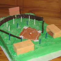 Baseball Field Cake Chocolate cake with butter cream icing. The dug outs are made from vanilla sugar wafers and the fencing is chocolate Twizzlers.