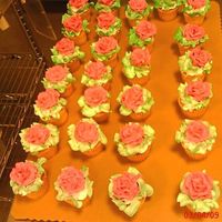 Dsc00319.jpg Part of an order of 50 cupcakes with burgandy roses on each one... fun :o)
