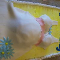 Belly Cake My first attempt at a belly cake. The belly didn't look so lumpy until I saw my pictures. Took bits and pieces of cakes on CC for...