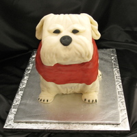 Georgia Bulldog - Uga This was a groom's cake. Stood about 15" high and was about 50 servings. Only the head was styrofoam. Fun to do!