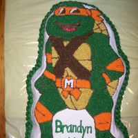 Ninja Turtle Wilton Ninja Turtle pan iced in BC