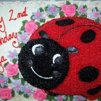 Lady Bug Birthday Cake A birthday cake done in buttercream. I kinda winged the daisy-type flowers. It was fun. =)