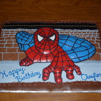 Spiderman Cake First try on making a chocolate mold out of a cake pan, and it turned out great