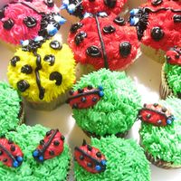 Lots Of Lady Bugs.... Made two different lady bugs to keep the different type of cup cakes separate!