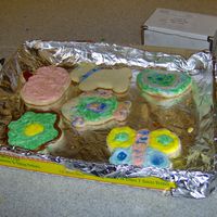 Cookies From My Icing Fun Class These cookies were created by students in my course at the community college. They ranged from 5th - 8th grade.