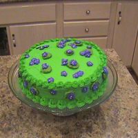 Extra Spare Time Cake Made this cake practicing on making flowers. Just threw this cake together in a couple of hours with RI flowers