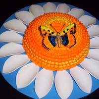 Butterfly Cake August 2010 Simple practice cake. Design from Lindy Smith's "Celebrate with a cake" book