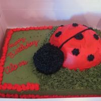 Birthday Cake everything is funfettii but the head of ladybug is rice krispies..buttercream icing