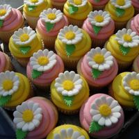 Daisy Cupcakes White Cake with Lemon Curd or Raspberry Filling and Buttercream. MMF flowers.