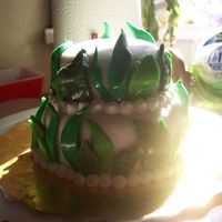 First Attempt With Fondant 