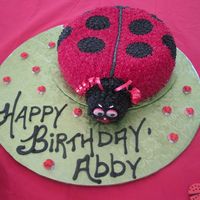 Lady Bug Cake I made this for my daughter's 2nd birthday. I used a domed cake pan. I believe it was yellow dough and iced with buttercream icing. I...