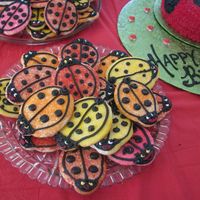 Lady Bug Cookies I used a cut-out cookie recipe and dipped the cookie in sprinkles before baking and used black buttercream to outline the cookie and add...