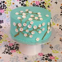 Mother's Day Cake This is my second cake. I am so proud of how it turned out. It is for Mother&acirc;s Day. It is covered with IMBC and I will never go...