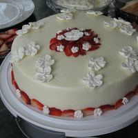 Sister's Engagement 10" chocolate double layer cake with nutella/raspberry filling, covered in mint buttercream icing and royal icing dogwood flowers and...