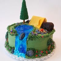 The Great Outdoors! My 10 year old son & hubby made this cake for a Cub Scout Blue & Gold Banquet cake contest. Using my cake decorating experience and...