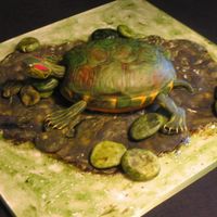 Turtle Cake 4D turtle cake done for a turtle lovers b-day. The shell is cake and the rest is made of gumpaste and pastillage. TFL!