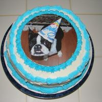 Bailey's Birthday Bailey, my mom's dog, had his first birthday. I made this cake becauses all of the grandkids wanted to have a party for him. The...