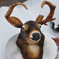 Hunting Season The horns are made of pulled sugar covered with fondant and everything else is cake. Did some airbrush to finish it..