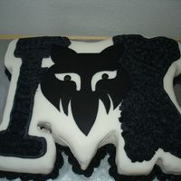 Fox Racing My brother-inlaw loves Fox anything. This was his 15th birthday cake.