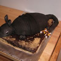 Armadillo This was a grooms cake with you guessed it, red velvet cake inside. This was my first ever try to carve a cake and use fondant. I used rice...