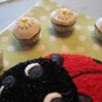 Ladybug.jpg This cake was for my cousin turning 19. The ladybug is the Wilton pan, and the cupcakes are frosted with lemonade buttercream. The daisies...