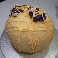 It Was A Cae For My Two Little Ones:) 