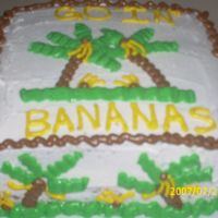 Ashlynncake_004.jpg I was bored and decided to make a cake, lol. Lettering is a little off and BC isn't perfect but I think it came out cute. For someone...