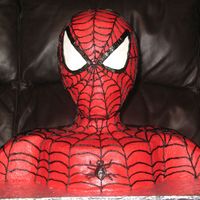 Spiderman Bodice Spiderman Bodice in BC.