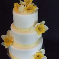 Summer Sun Dummy cakes with yellow ribbon and flowers. I am trying to beef up my portfolio.