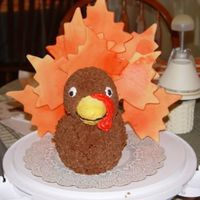 Turkey Cake This was made using the Wilton 3D duck pan. Frosted in buttercream. I had the same problem other's had - the "feathers" were...