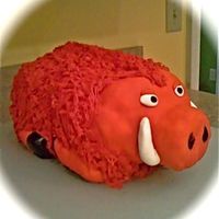 Razorback Cake Razorback cake. Hand carved- no special pan.