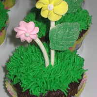 Spring Flowers 