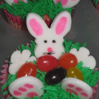 Bunny Cupcakes 