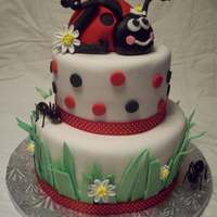 Lady Bug Cake CSM: Two tiers choc/van cake covered in fondant. The grass, flowers, and number are made of gumpaste. The ladybug is a small cake covered...