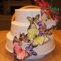 Founder's Day Butterfly Cake This is for the organization my hubby works for. Butterflies are their "mascot". Top layer-dark chocolate fudge cake with Bailey...