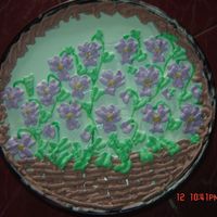 Picture_010.jpg viola