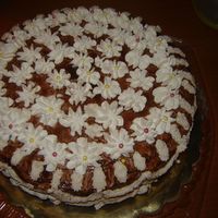 Chocolade Cake i did it