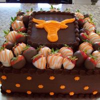 Longhorn 