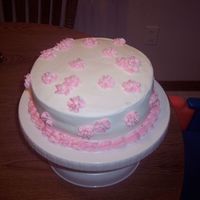 Wilton Course I Second Cake Still trying to perfect the flowers but I'm learning! ha.