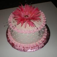 Amy's Cake Chocolate cake w/pnut butter mousse filling and whipped icing. I wrote Happy Birthday on the cake board, but I should have used a darker...