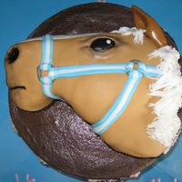 Horse Head Carved from an 8" single layer and placed on a chocolate 8" cake.