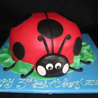 Lady Bug carved from a 10" round cake.