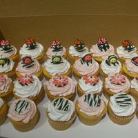 Birthday Cupcakes Complete cupcakes with ladybugs, bumble bees, flowers, and zebra print. Actually all came together!
